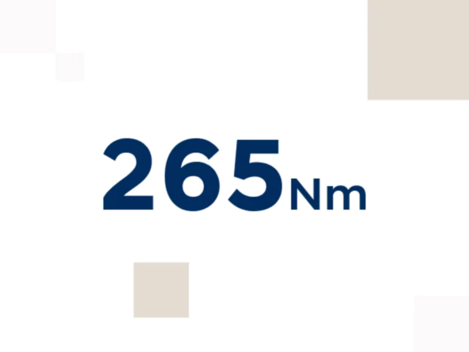 Hyundai KONA ICE Key Facts Icon 265 Nm 4X3